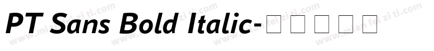 PT Sans Bold Italic字体转换